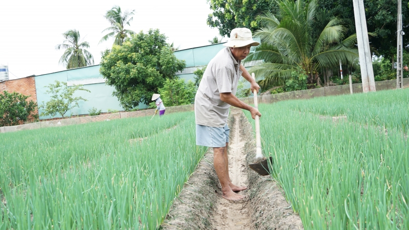 Bảo đảm sản xuất nông nghiệp trong tình hình dịch bệnh