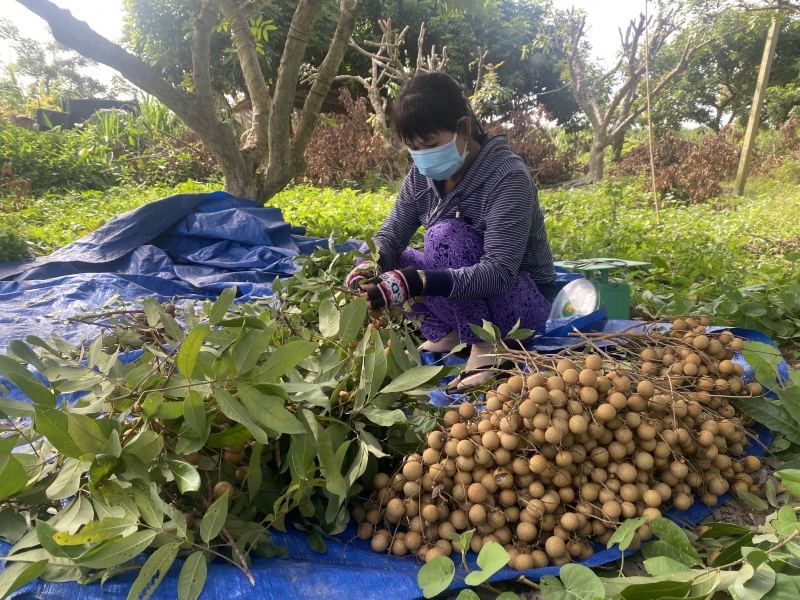 Người dân và nhà nước cùng hỗ trợ, chia sẻ khó khăn