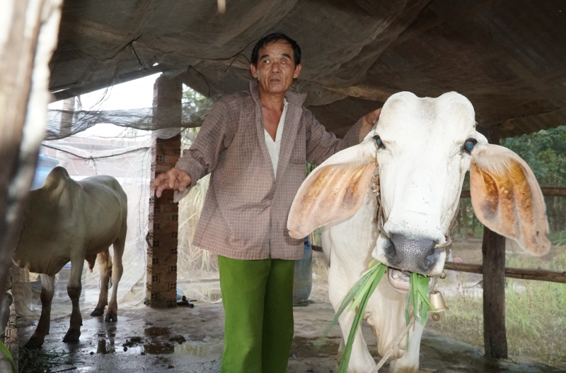 Chồng mù nuôi vợ ung thư