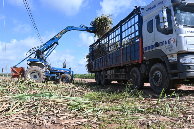 Nông dân quan tâm đến việc chuyển giao công nghệ mới, phát triển kinh tế tập thể