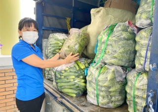 Tỉnh đoàn Tây Ninh hỗ trợ nông sản cho Thành đoàn Thành phố Hồ Chí Minh