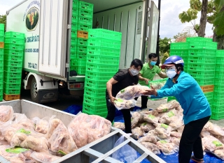 Tiếp nhận 4.000kg thịt gà phục vụ công tác phòng chống dịch