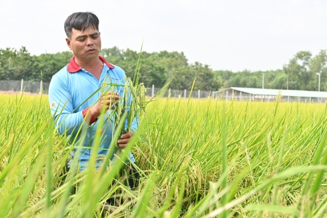 Tây Ninh: Nỗ lực vượt khó khăn, đạt các mục tiêu, kế hoạch xây dựng nông thôn mới