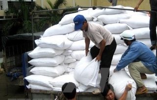 Thành phố Hồ Chí Minh đề nghị hỗ trợ 142.200 tấn gạo do dịch COVID-19