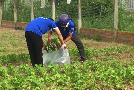 Mô hình “Cửa hàng xanh bình ổn giá” của tuổi trẻ xã Trường Tây