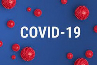 Ngày 29.8: Thêm 164 bệnh nhân Covid-19 xuất viện