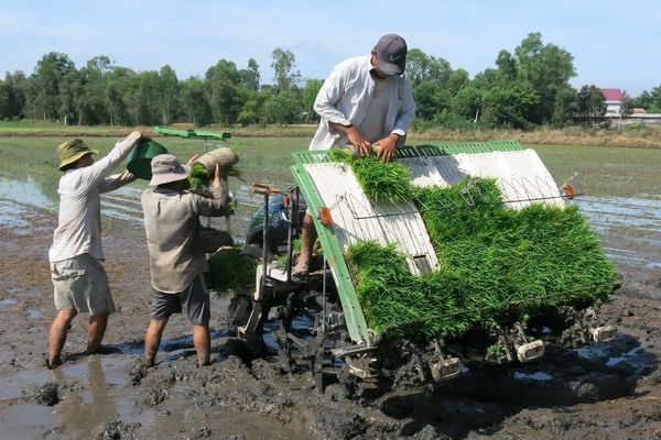 Chuẩn bị tốt các điều kiện cho sản xuất vụ Mùa 2021