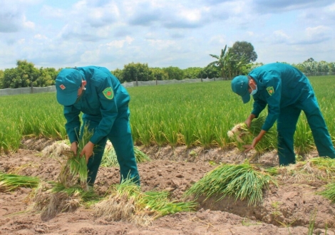 Phát huy sức mạnh toàn dân bảo vệ ANTQ trong tình hình dịch bệnh