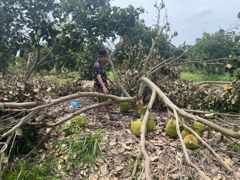 Thực hiện phòng, chống thiên tai bảo đảm an toàn cho người, nhà ở và công trình xây dựng mùa mưa bão năm 2021