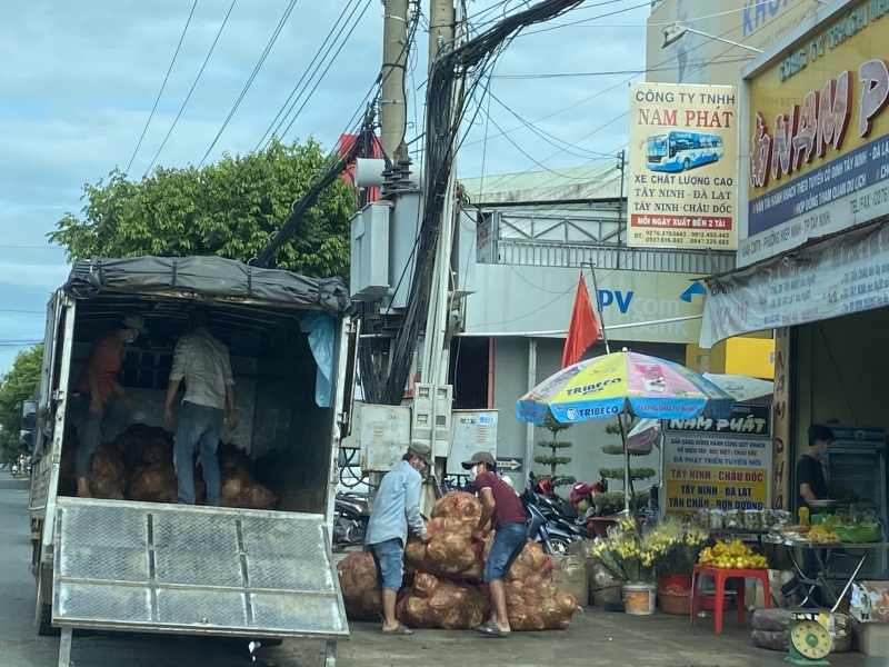 Doanh nghiệp vận tải hành khách: Vượt khó để tồn tại trong mùa dịch