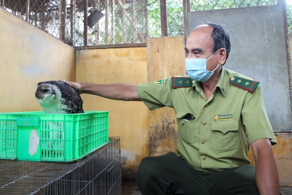 Tăng cường quản lý, bảo vệ động vật hoang dã nguy cấp, quý, hiếm