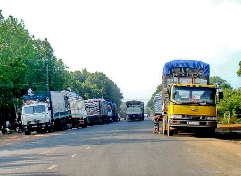 Thông tin kinh tế trong tỉnh