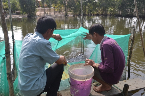 Thành lập HTX Dịch vụ Nông nghiệp - Nuôi trồng thủy sản Tràm Cát