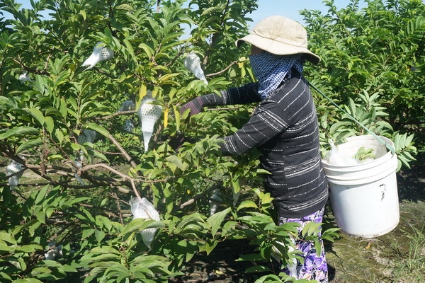 Nâng cao hiệu quả quản lý, khai thác và phát triển tài sản trí tuệ