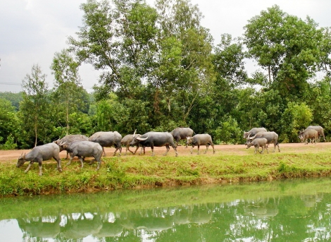 Thông tin kinh tế trong tỉnh