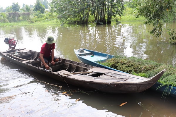 Về Châu Thành mùa nước nổi