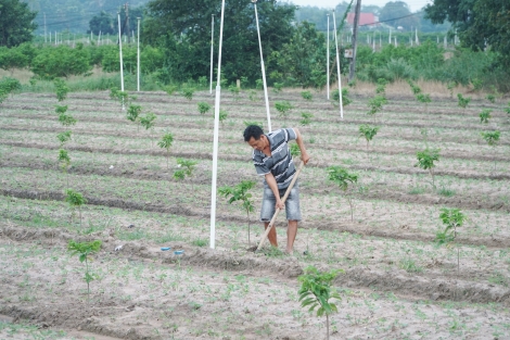 Người dân đóng góp nhiều ý kiến về kế hoạch sử dụng đất đai năm 2021-2030