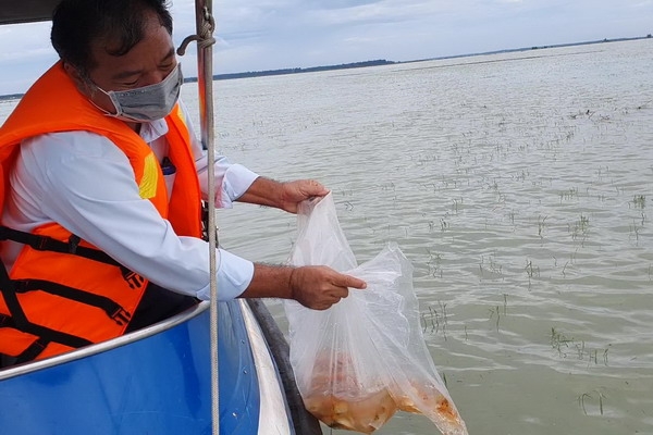 Khai thác thuỷ sản phải song hành với bảo tồn