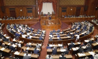 Cử tri Nhật Bản đi bỏ phiếu để bầu Hạ viện