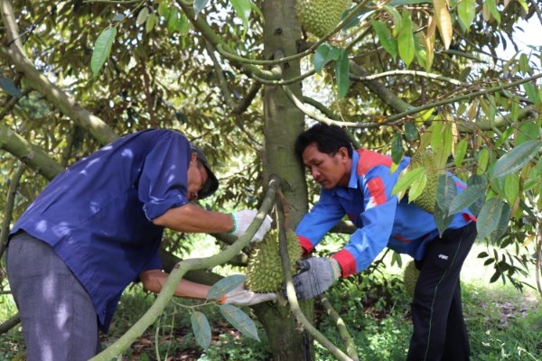 Xã Bàu Đồn: Quyết tâm xây dựng xã đạt chuẩn nông thôn mới nâng cao