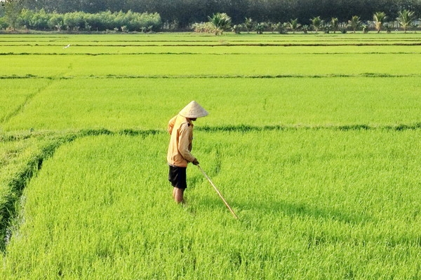 Thông tin kinh tế trong tỉnh