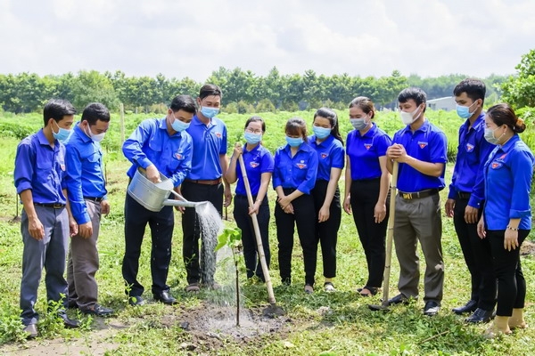 Vườn cây của những thanh niên làm theo lời Bác