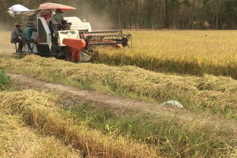 Vật tư nông nghiệp tăng giá, nông dân đối diện nguy cơ sản xuất thua lỗ