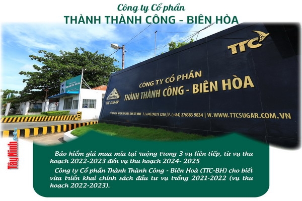 Công ty Cổ phần TTC-BH: Bảo hiểm giá mua mía tại ruộng trong 3 vụ liên tiếp, từ vụ thu hoạch 2022-2023 đến vụ thu hoạch 2024- 2025