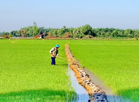 Thông tin kinh tế trong tỉnh