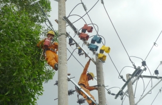 Công ty Điện lực Tây Ninh thực hiện tốt tiêu chí số 4 về điện trong xây dựng nông thôn mới