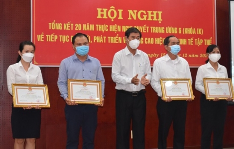 Tổng kết 20 năm thực hiện đổi mới, phát triển và nâng cao hiệu quả kinh tế tập thể