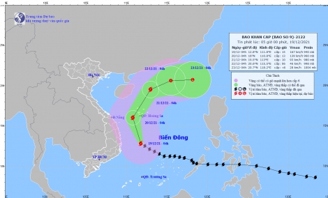 Bão số 9 giật trên cấp 17, cách Bình Định - Phú Yên khoảng 270km