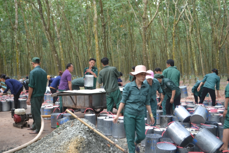 Yêu cầu các cơ sở sản xuất, chế biến cao su nghiêm chỉnh chấp hành các quy định về bảo vệ môi trường