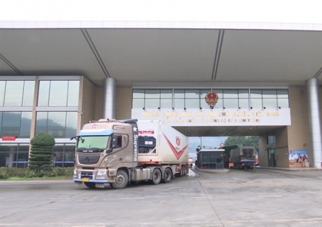 Tạm dừng tiếp nhận phương tiện chở hoa quả tươi Việt Nam lên cửa khẩu của tỉnh Lào Cai và Quảng Ninh để xuất khẩu