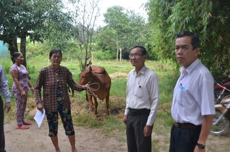 Năm 2021: Hội người cao tuổi các cấp nhân rộng mô hình Câu lạc bộ liên thế hệ tự giúp nhau