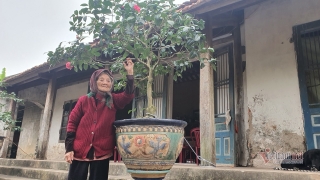Cụ bà hạnh phúc nhất Việt Nam: 108 tuổi, có 114 cháu, chắt