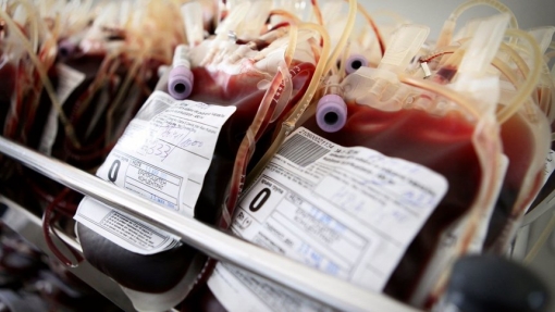 Những người sở hữu nhóm máu gấu trúc có những lợi ích hay bất lợi gì so với những người khác?
