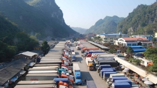 Tiếp tục tạm dừng tiếp nhận phương tiện chở hoa quả tươi đến các cửa khẩu đường bộ của tỉnh Lạng Sơn