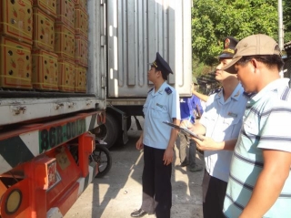 Trung Quốc yêu cầu phun khử khuẩn bao bì hàng hoá nhập khẩu từ Việt Nam
