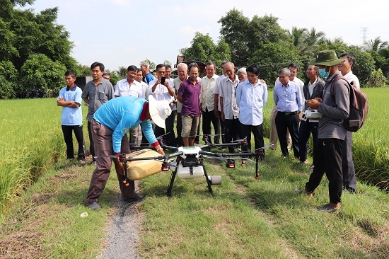 Đẩy mạnh thực hiện các chính sách hỗ trợ phát triển nông nghiệp