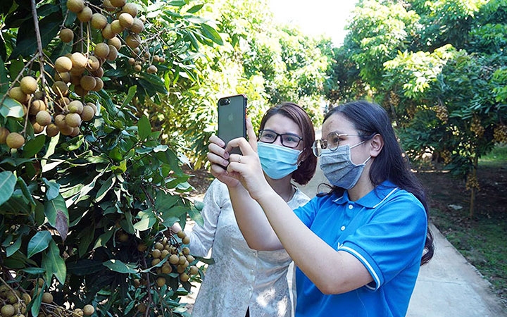 Tạo đà bứt phá phát triển thương mại điện tử