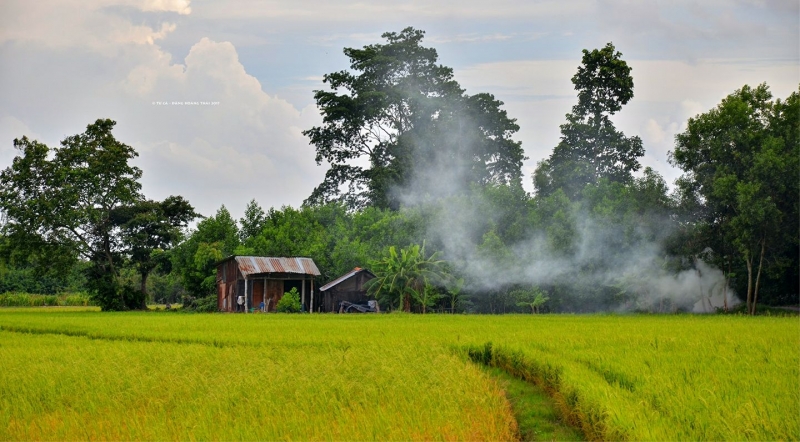 Mẹ và bếp củi