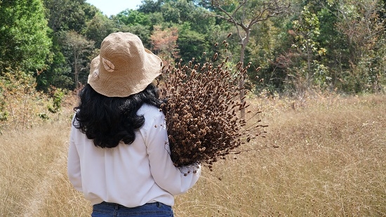 Mở hướng du lịch về với thiên nhiên