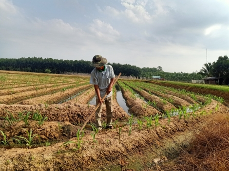 Hội Nông dân xã Long Khánh hỗ trợ hội viên phát triển kinh tế