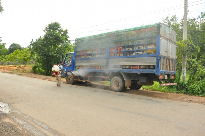 Tây Ninh triển khai Tháng tổng vệ sinh, khử trùng, tiêu độc môi trường phòng, chống dịch bệnh gia súc, gia cầm