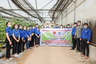 Thị đoàn Trảng Bàng: Hỗ trợ thanh niên tiếp cận mô hình trồng dưa lưới trong nhà kính