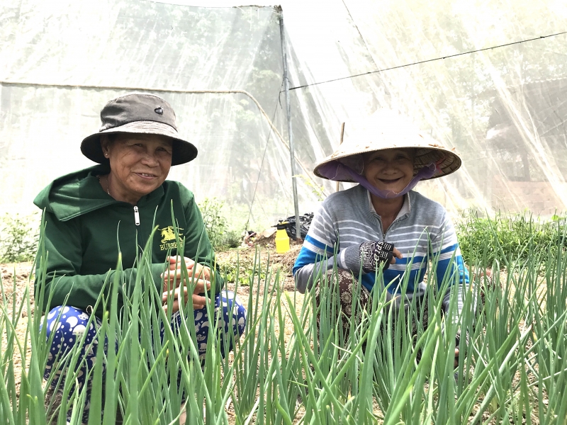 Hạnh phúc giản đơn