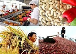 Hướng dẫn doanh nghiệp sản xuất thực phẩm thực hiện đăng ký xuất khẩu vào Trung Quốc