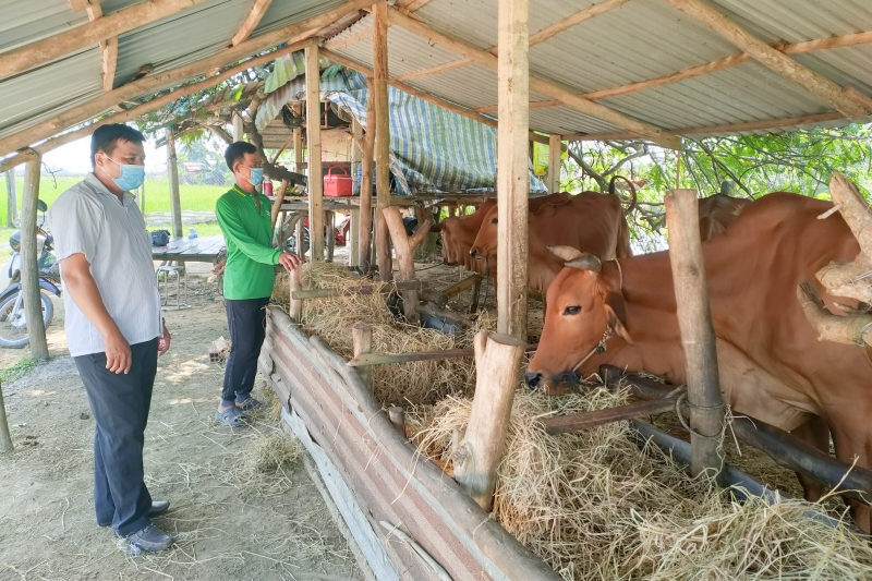 Nông dân Trảng Bàng phát triển kinh tế nhờ nguồn vốn chính sách xã hội