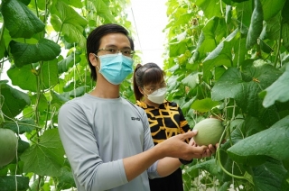 Nông dân trẻ với mô hình nông nghiệp ứng dụng công nghệ cao